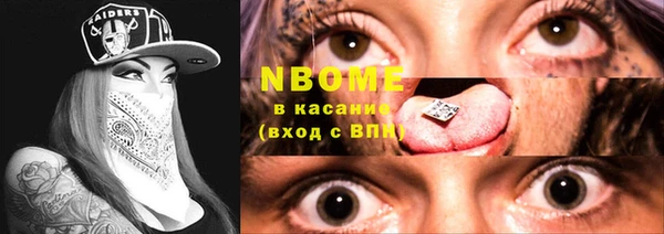 прущие грибы Абаза