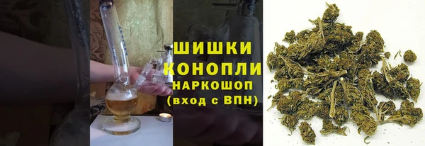 прущие грибы Абаза