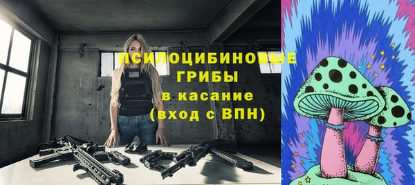 прущие грибы Абаза