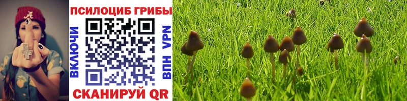 Галлюциногенные грибы Cubensis  Приморско-Ахтарск 
